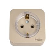 Розетка 1-м ОП Blanca 16А IP20 250В с заземл. без защ. шторок с изолир. пластиной (компакт) титан SE BLNRA110114