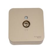 Розетка телевизионная TV ОП Blanca 16А 250В коннектор с изолир. пластиной титан SE BLNTA000014