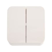 Выключатель 2-кл. ОП Blanca 10А IP20 (сх. 5) 250В с изолир. пластиной молочн. SE BLNVA105012